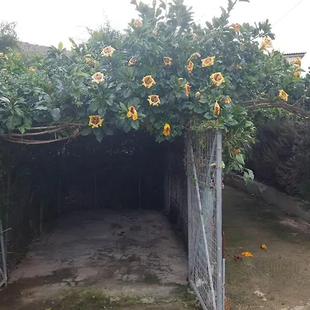 Sofiana's Garden Retreat With Private Pool Dhrapaniás